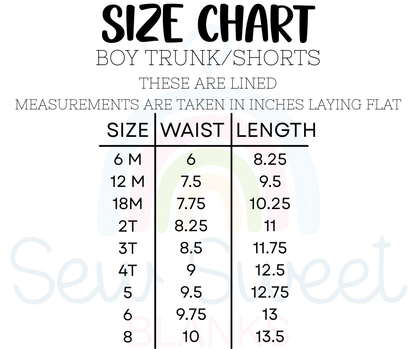 Boy's Trunks/Shorts